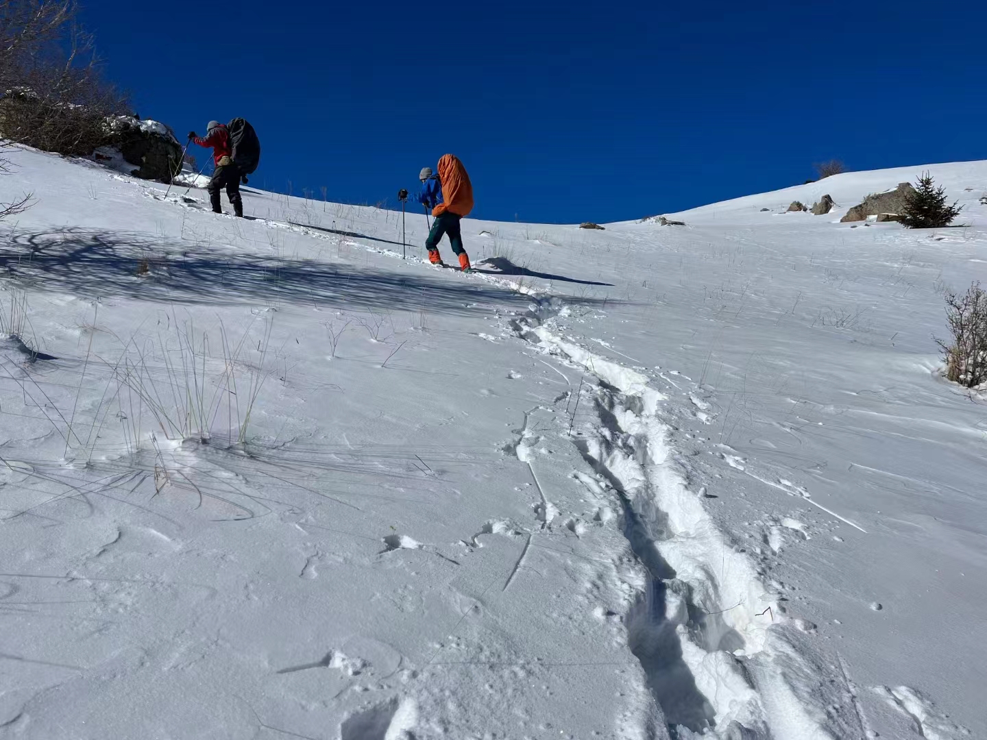 小目标-登顶信号塔营地